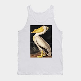 Bird of America  Bird, bird lover, america, beautiful  Public domain painting by John James Audubon Tank Top